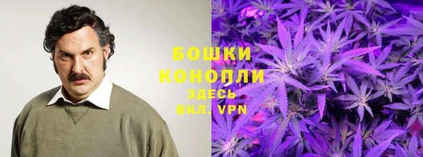 марки nbome Бородино