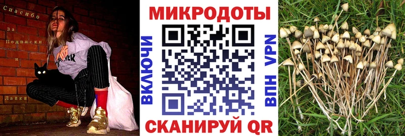 Псилоцибиновые грибы мухоморы  Гуково 